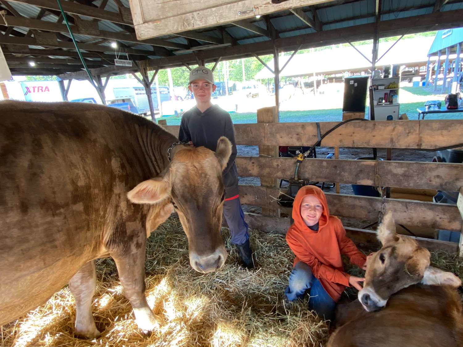 Cody Taggart, 13 and Ethan Taggart, 11, of Bluebird Farm in Unadilla with their Brown Swiss cows at the Delaware County Fair on Sunday, Aug. 14.